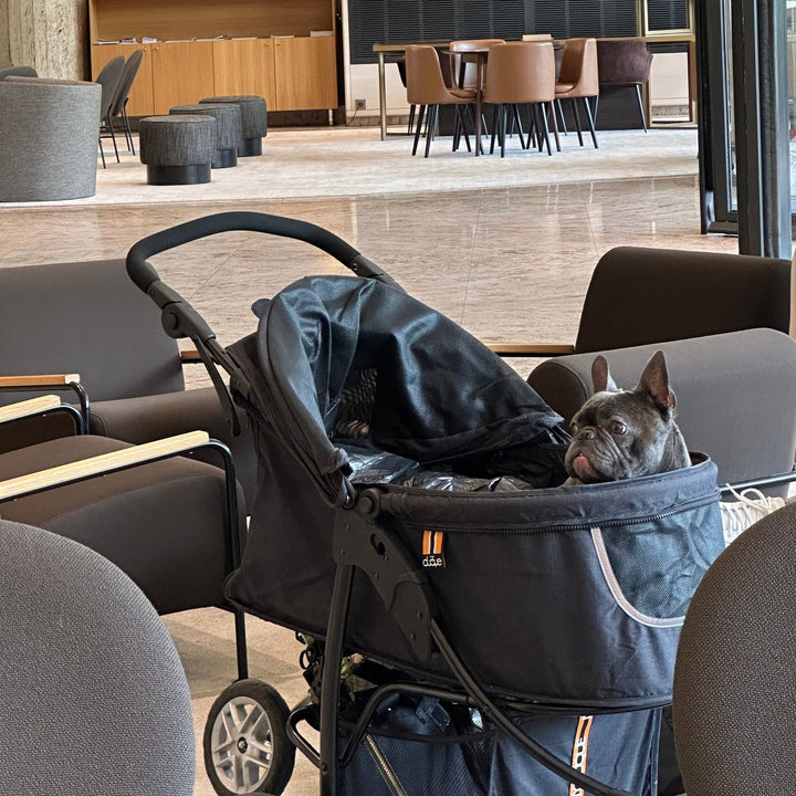 My Duque COOPER Dog Stroller | Used by Loui