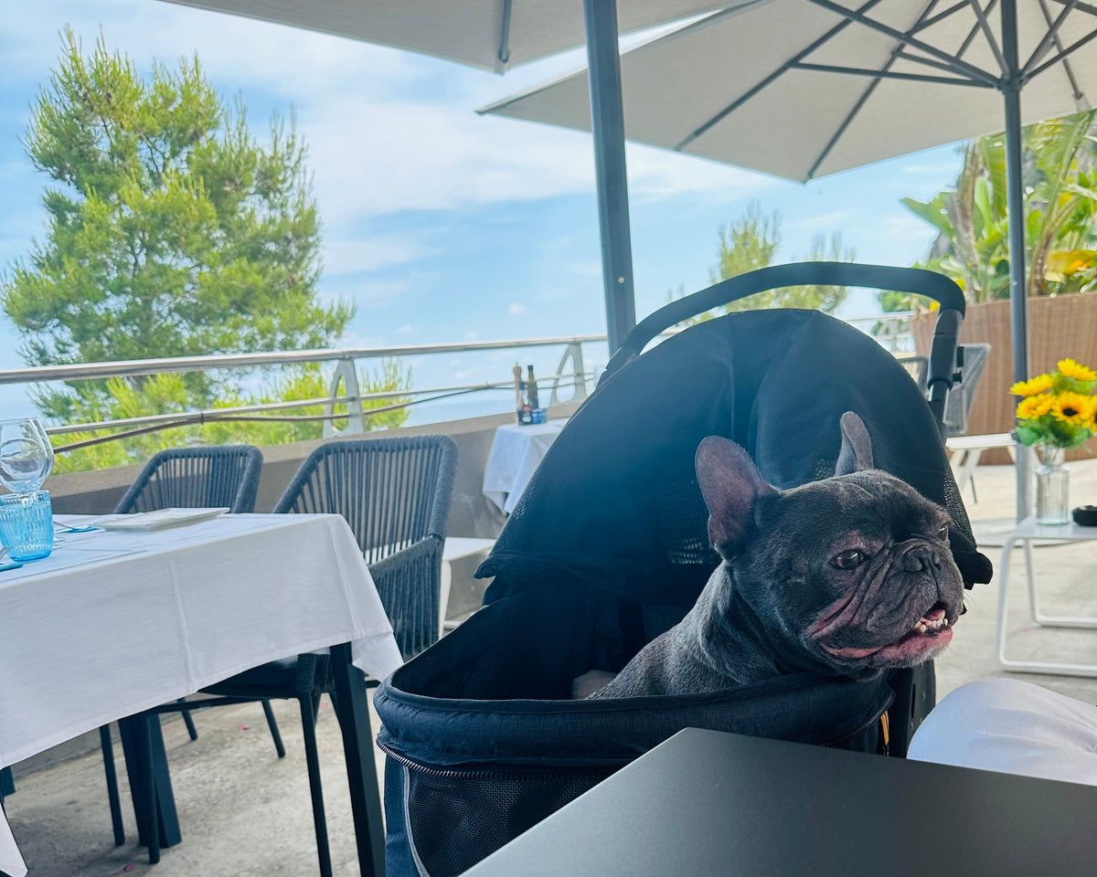 Loui in the My Duque COOPER stroller with room for mobility and care essentials