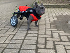 Loui wearing the Walkin’ Wheels Small Front Vest with his wheelchair