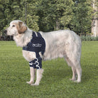 Balto Lux dog shoulder brace - source product image