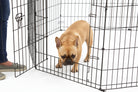 MidWest Contour Exercise Pen official detail view featuring a french bulldog inide