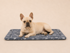 Cream French Bulldog resting on a Pets Essentials Bone Fleece ultra-low-entry dog crate mat