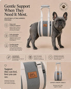 PICK FOR LIFE adjustable grey dog lifting harness shown on a French Bulldog with padded support panel and lifting handle