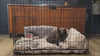 Loui the French Bulldog inside the FurDreams folding dog crate