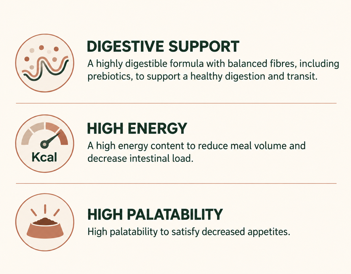 Digestive support, high energy and high palatability — Royal Canin Gastrointestinal benefits