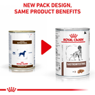 Royal Canin Gastrointestinal Loaf official feeding and product information graphic