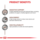 Royal Canin Gastrointestinal Loaf official product information graphic