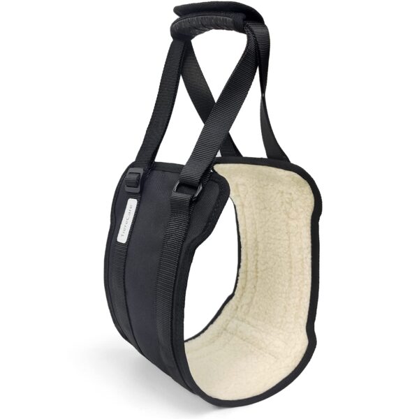TiereCare rear support sling for assisted dog mobility