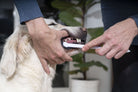 Virbac C.E.T. toothbrush official lifestyle image