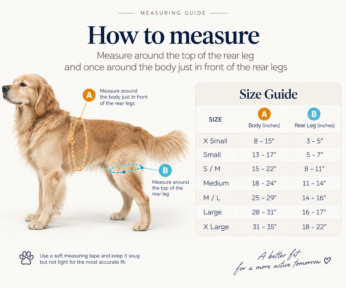 Walkabout Rear Lift Dog Harness measurement and sizing guide