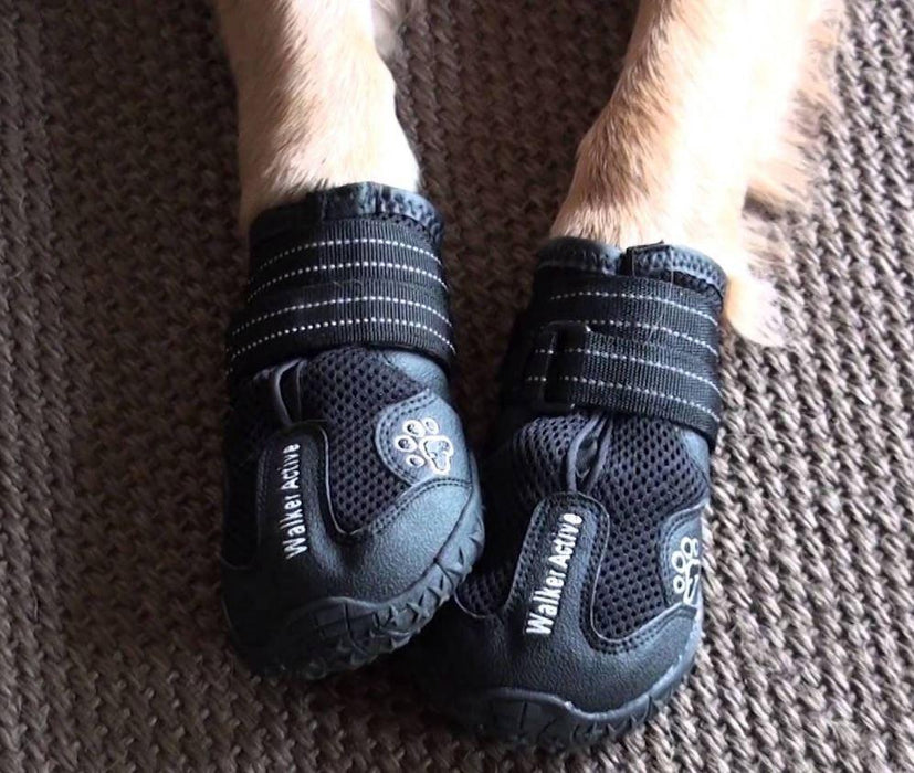 Dog wearing Walker Active boots for paw protection