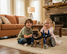 Walkin’ Wheels four-wheel dog wheelchair setup for front and rear mobility support