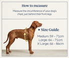 ZOOMA full-body lifting dog harness size guide