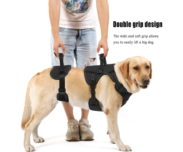 ZOOMA lifting harness fitted on a dog for whole-body support