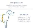 ZOOMA full-body lifting dog harness product and strap layout