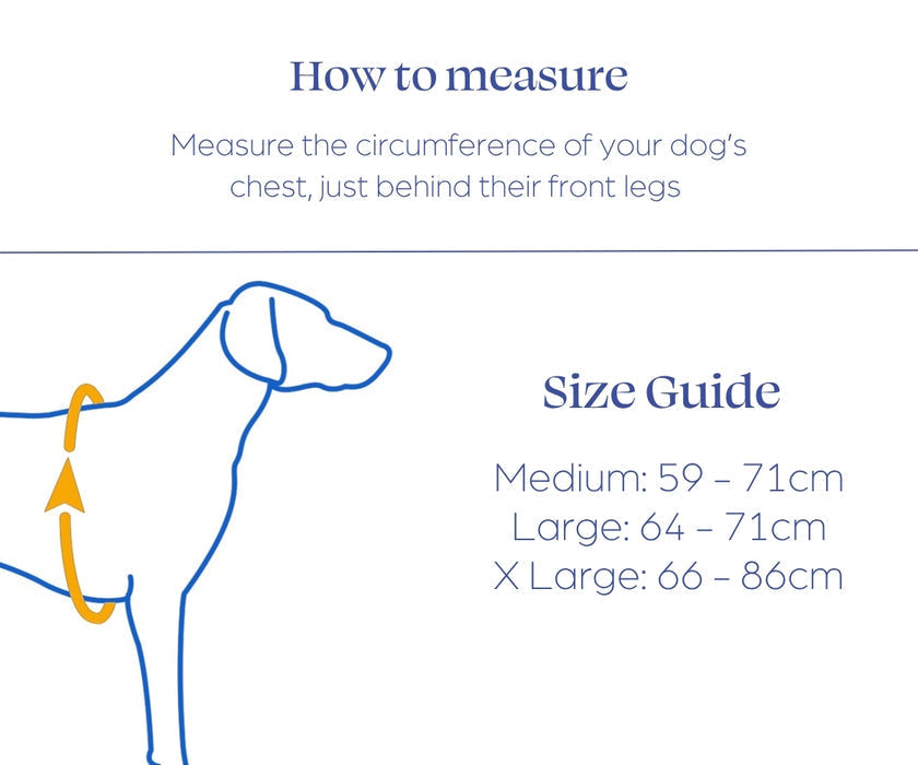 ZOOMA full-body lifting dog harness product and strap layout