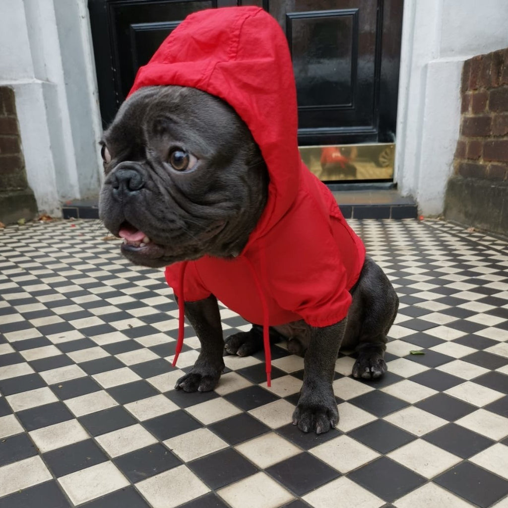 French bulldog Raincoat Red Colour - side view Hoodie on