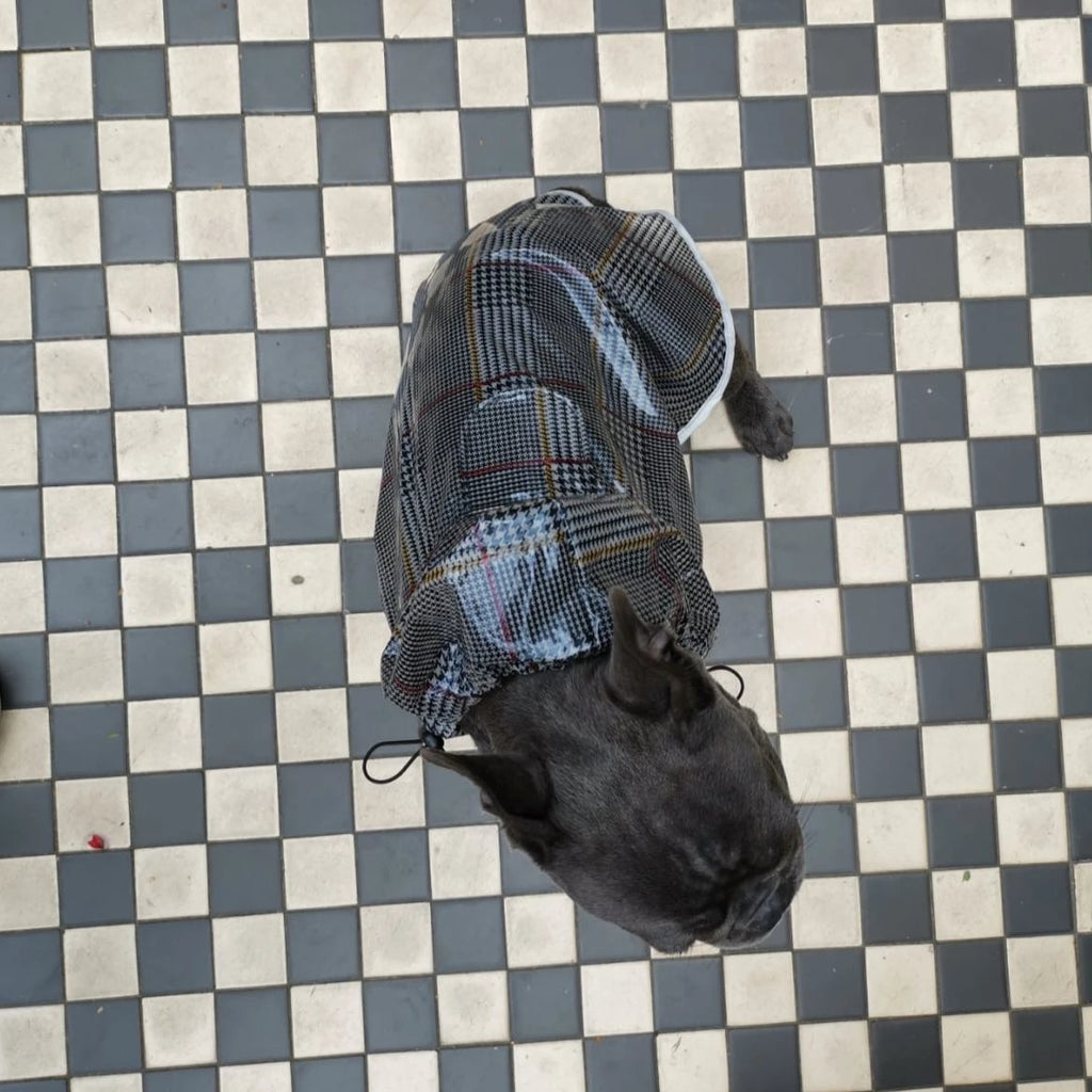 Dog Raincoat for French Bulldogs and Pugs - top view