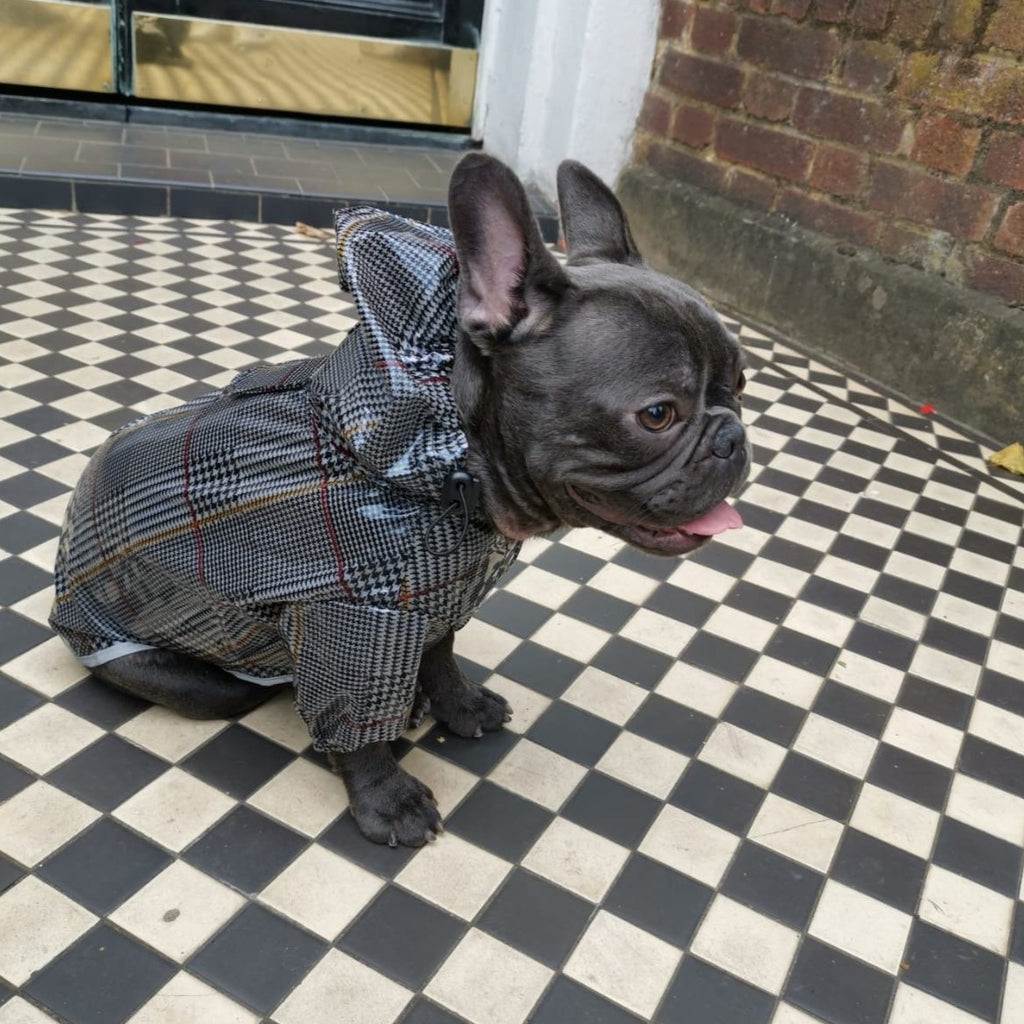 Dog Raincoat for French Bulldogs and Pugs, harness friendly - side view 