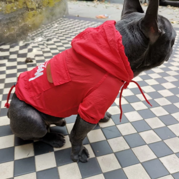 French bulldog Raincoat Red Colour - side view, Adjustable fasteners