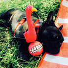 Squeaky ball for dogs, French bulldog toys 2