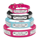 Chelsea Bling Bling Engraved Dog Collar - French bulldog Collar