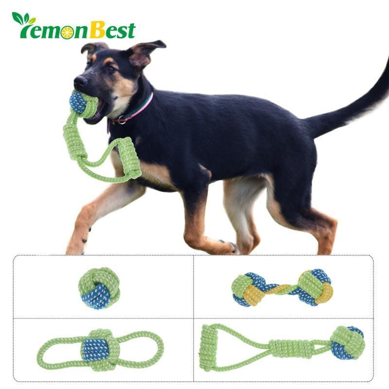Chewing Knot Rope Toy - Dog Toys