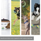 Chewing Knot Rope Toy - Dog Toys