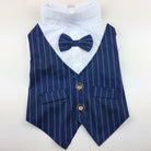 French Bulldog striped tuxedo fit and back detail