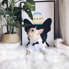 French Bulldog formal outfit product detail