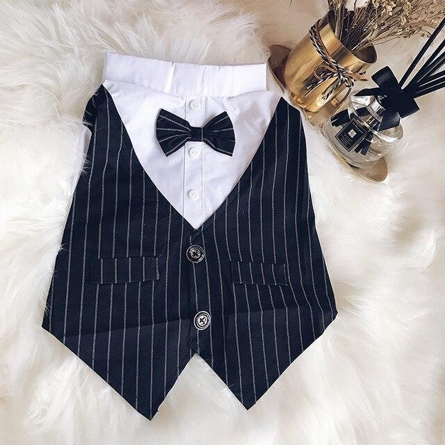 French Bulldog formal tuxedo shirt and bow-tie styling