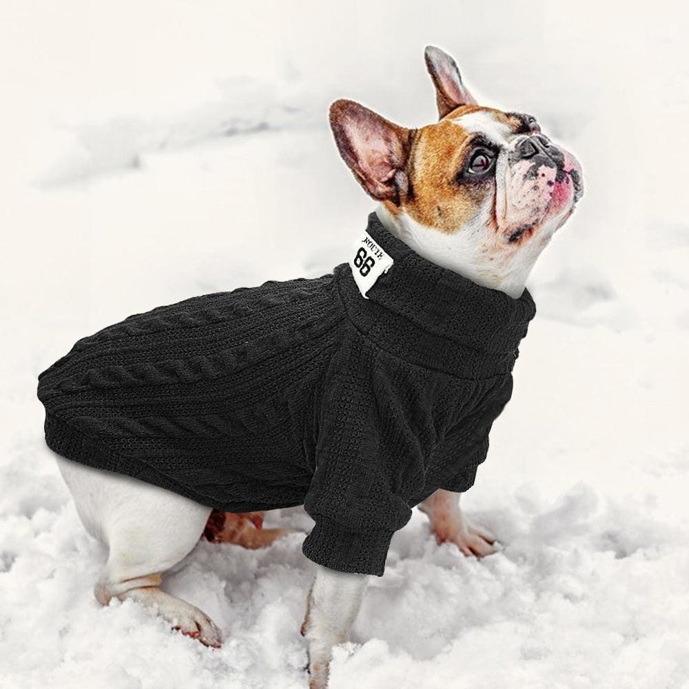 Small dog Sweater Free Shipping – Aubenord