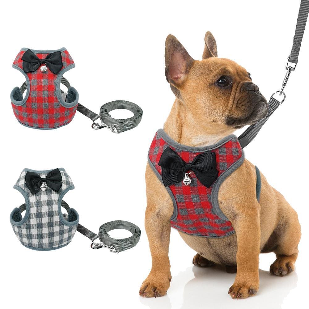 Handsome Steve Harness - Dog Harness, French Bulldog Harness