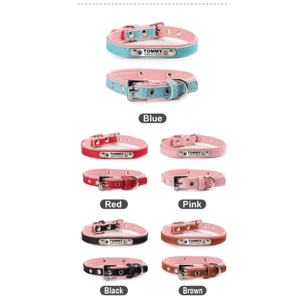 Izzy The Cat Collar With Name Engraving - Cat Collar