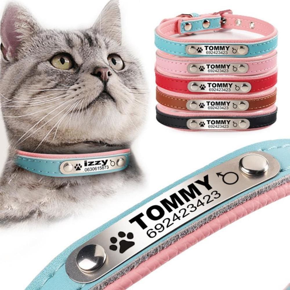 Izzy The Cat Collar With Name Engraving - Cat Collar
