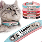 Izzy The Cat Collar With Name Engraving - Cat Collar