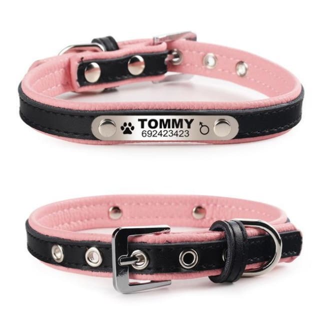Izzy The Cat Collar With Name Engraving - Black / L - Cat Collar