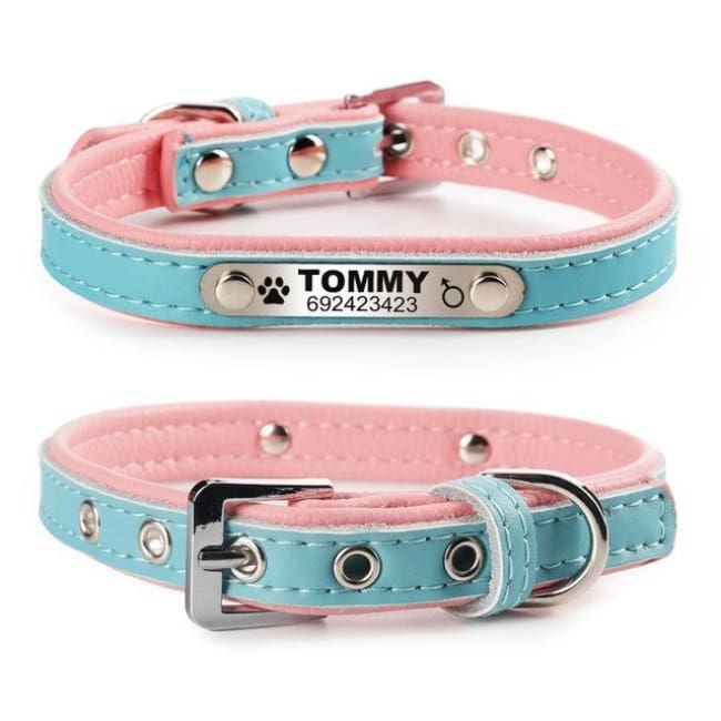 Izzy The Cat Collar With Name Engraving - Blue / L - Cat Collar