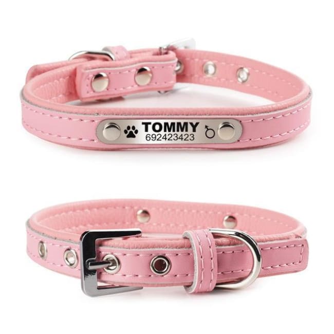Izzy The Cat Collar With Name Engraving - Pink / L - Cat Collar