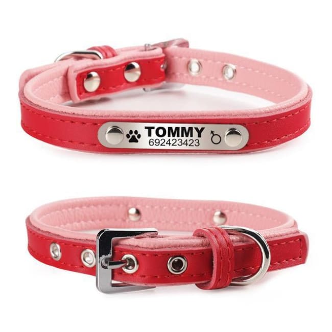 Izzy The Cat Collar With Name Engraving - Red / L - Cat Collar