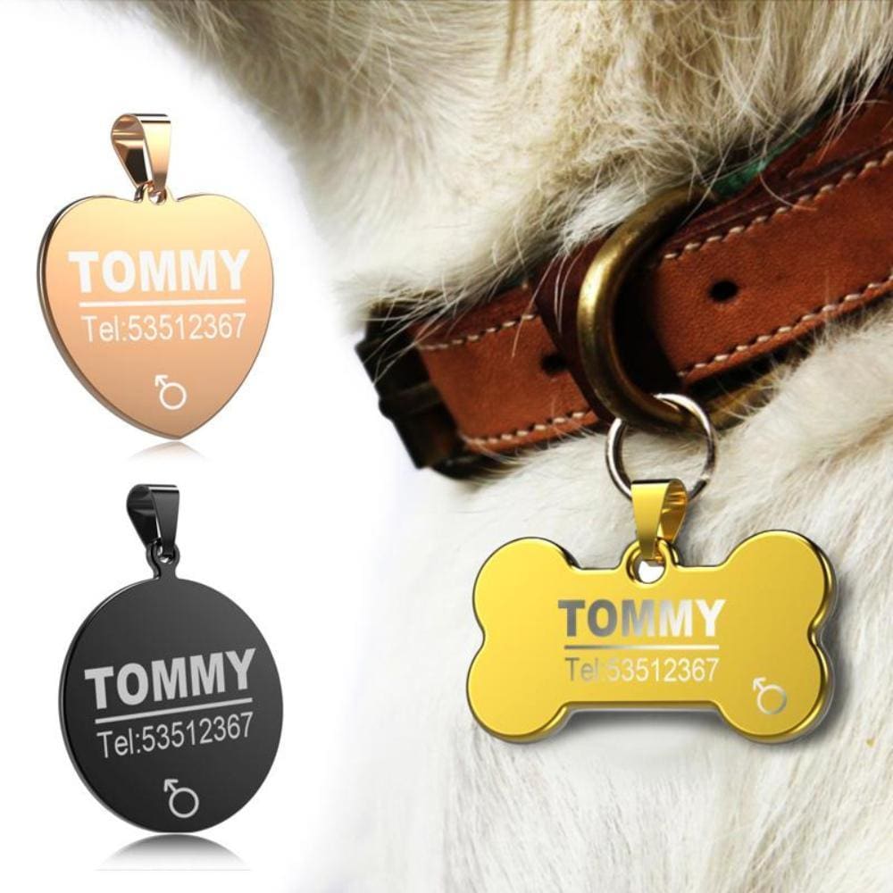 Little Chester Dog And Cat Engraved Id Tag - Dog Collar