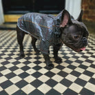 Loui wearing the tartan French Bulldog raincoat, side view