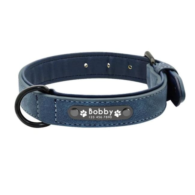 Personalized Custom Leather Dog Collar - Blue - Dog Collars, French bulldog leather collar