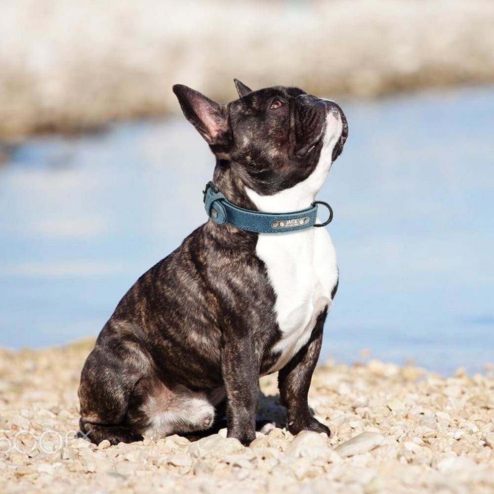 Personalized Custom Leather Dog Collar - Dog Collars, French bulldog leather collar