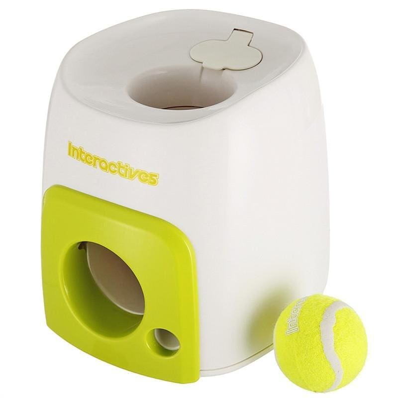 Pet Dog Puppy Interactive Fetch Ball Trainning - Dog Toys
