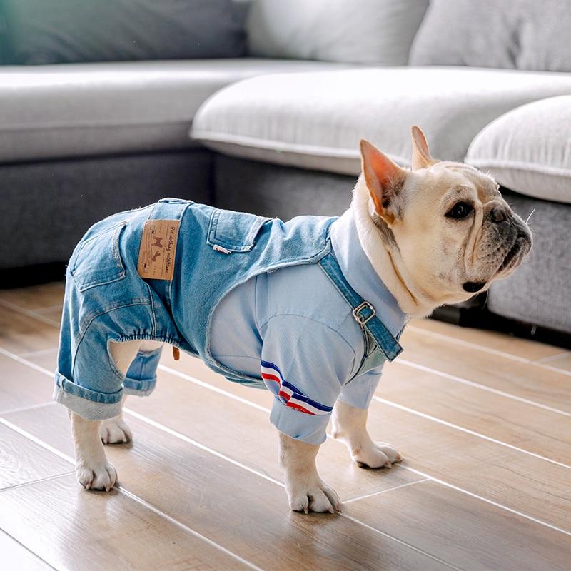 French bulldog pants - Frenchi dog model wearing denim and shirt