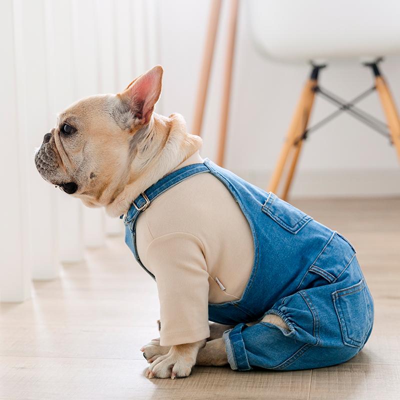 French bulldog pants - Frenchi dog model wearing denim and shirt side view picture