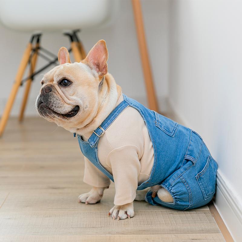French bulldog pants - Frenchi dog model wearing denim and shirt side view picture 2