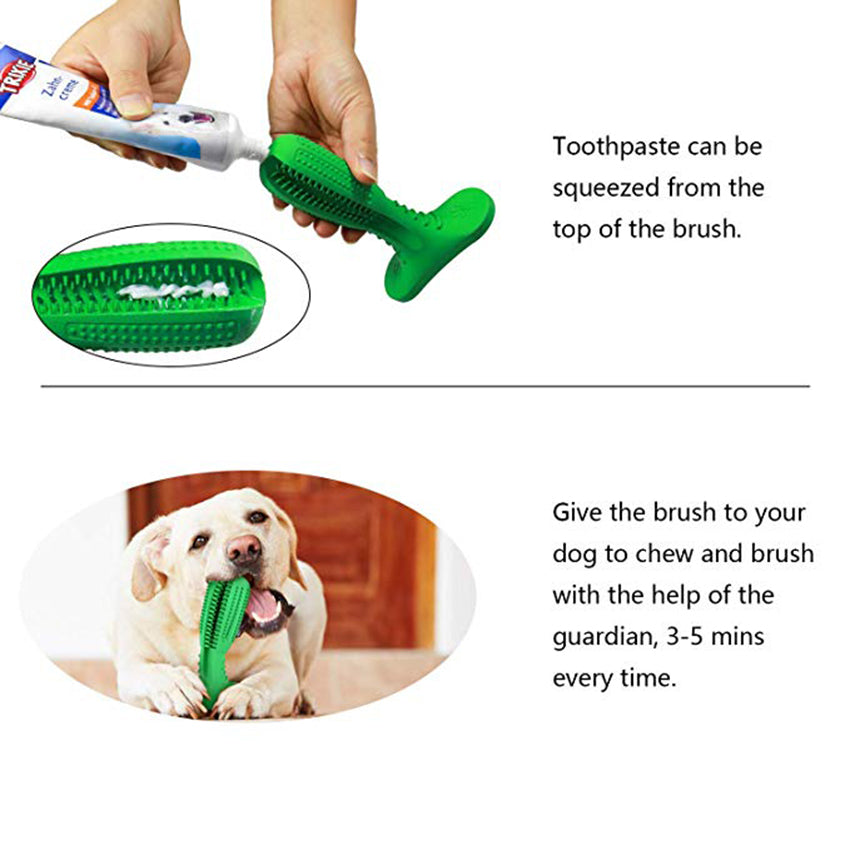 Dog teeth cleaning stick - how to use 