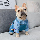 Small dog pants - Frenchi dog model wearing denim and shirt on sofa